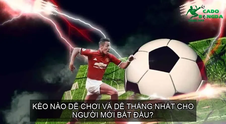 Kèo nào dễ chơi và dễ thắng nhất cho người mới bắt đầu?