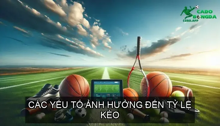 Các Yếu Tố Ảnh Hưởng Đến Tỷ Lệ Kèo