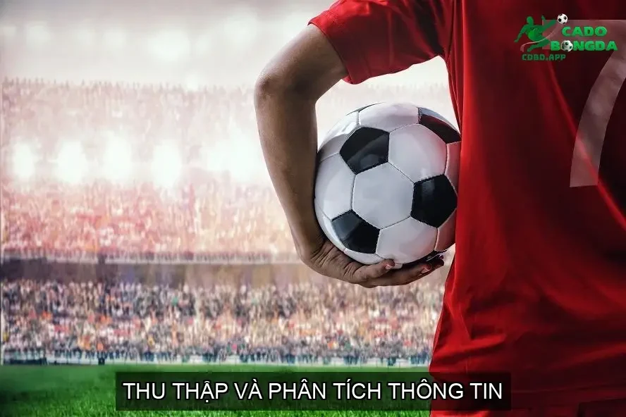 Thu Thập và Phân Tích Thông Tin