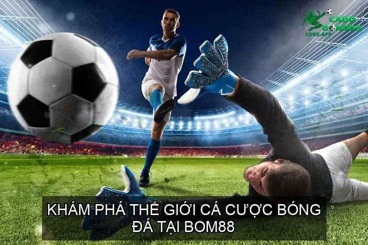 Khám Phá Thế Giới Cá Cược Bóng Đá Tại BOM88