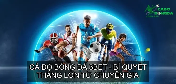 ca do bong da 3bet 68d37c0ba2d00