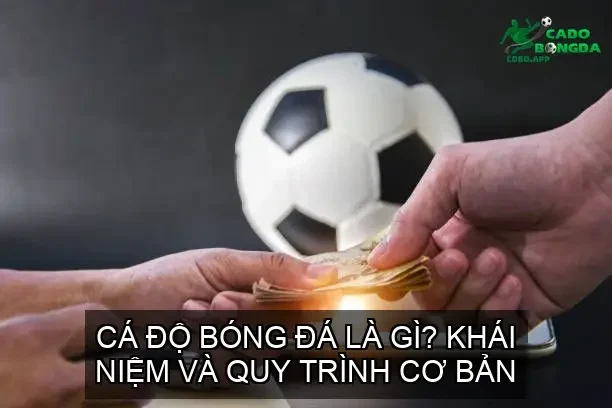 Cá độ bóng đá là gì? Khái niệm và quy trình cơ bản