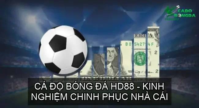 ca do bong da hd88 68d37be8b6680