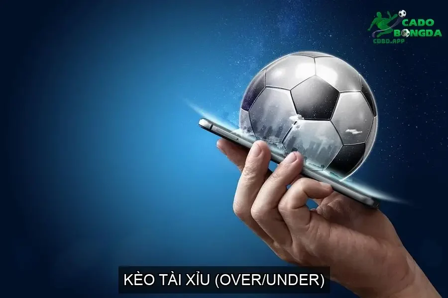 Kèo Tài Xỉu (Over/Under)