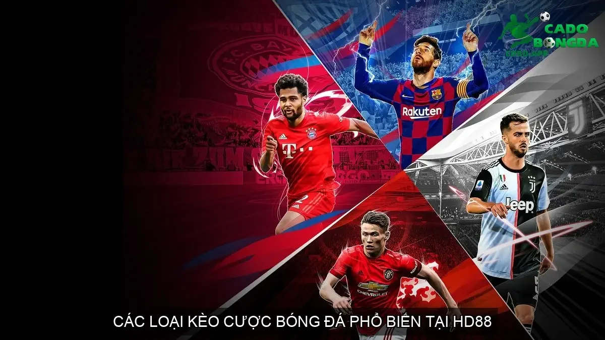 Các Loại Kèo Cược Bóng Đá Phổ Biến Tại HD88