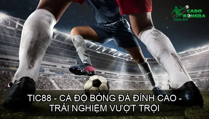ca do bong da tic88 68d37c05e0acd