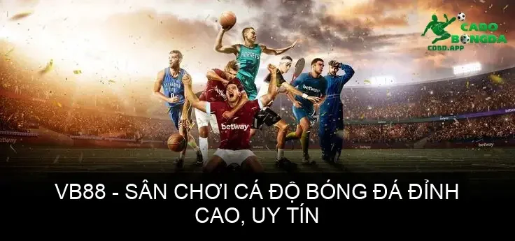 ca do bong da vb88 68d37bff49721