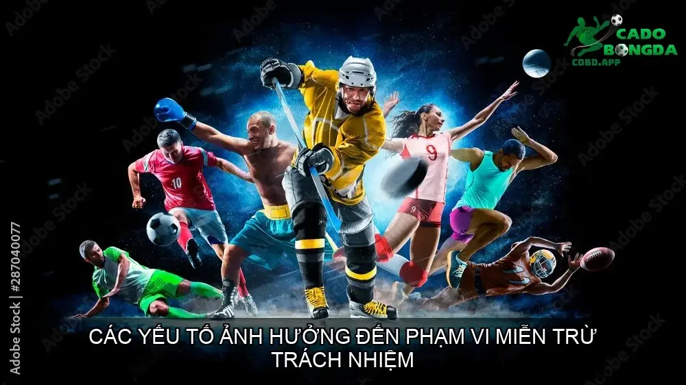 Các Yếu Tố Ảnh Hưởng Đến Phạm Vi Miễn Trừ Trách Nhiệm