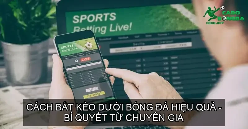 cach bat keo duoi bong da 68d37cbbb90c5