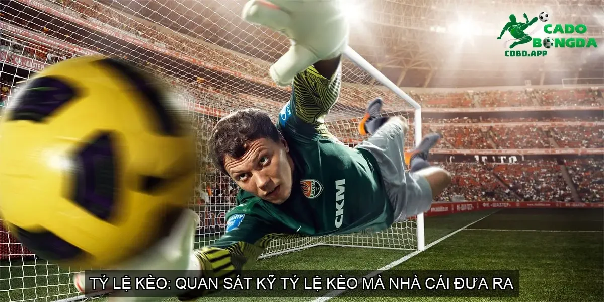 Quan sát kỹ tỷ lệ kèo mà nhà cái đưa ra