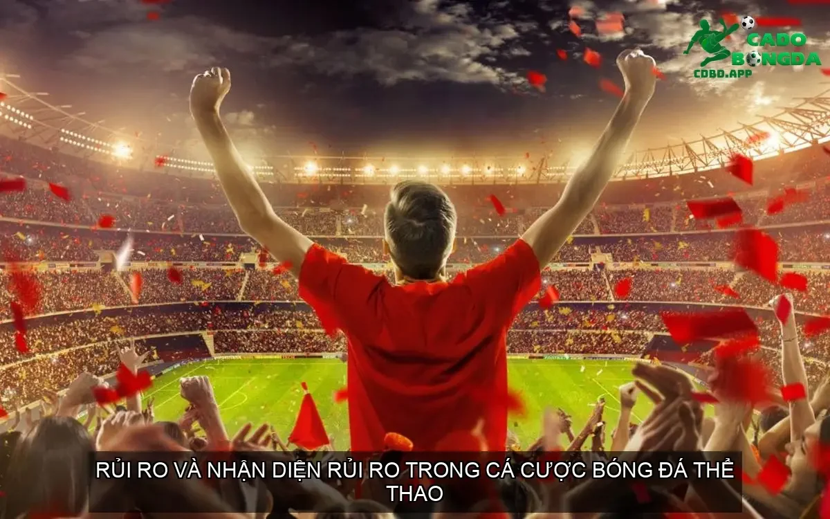 Rủi Ro và Nhận Diện Rủi Ro trong Cá Cược Bóng Đá Thể Thao