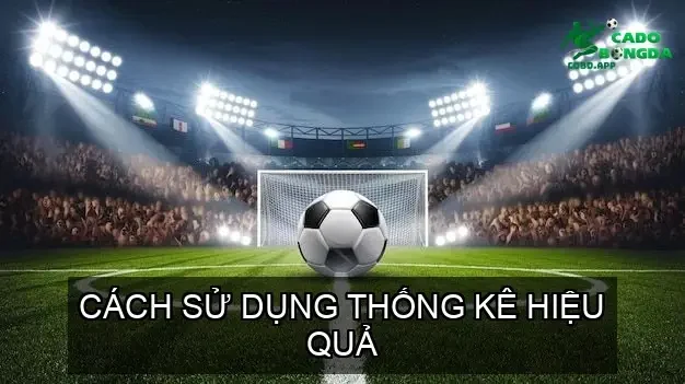 Cách Sử Dụng Thống Kê Hiệu Quả
