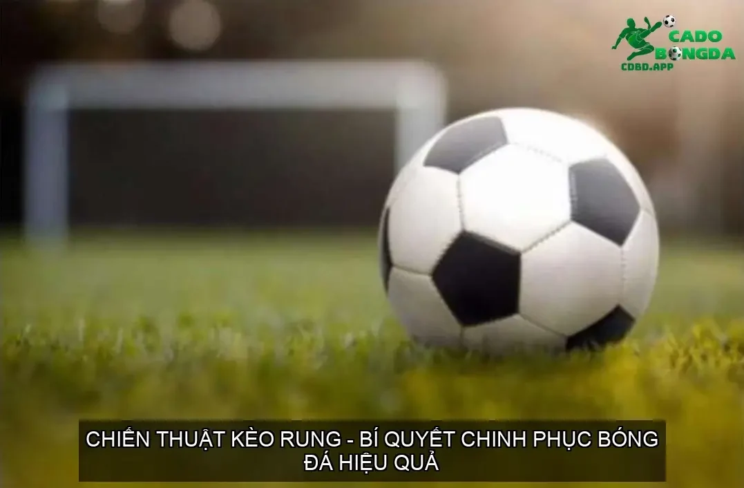 chien thuat keo rung 68d37ce0eb8b1