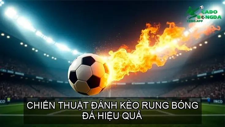 chien thuat keo rung bi quyet chinh phuc bong da hieu qua 68d37ce3cdf86