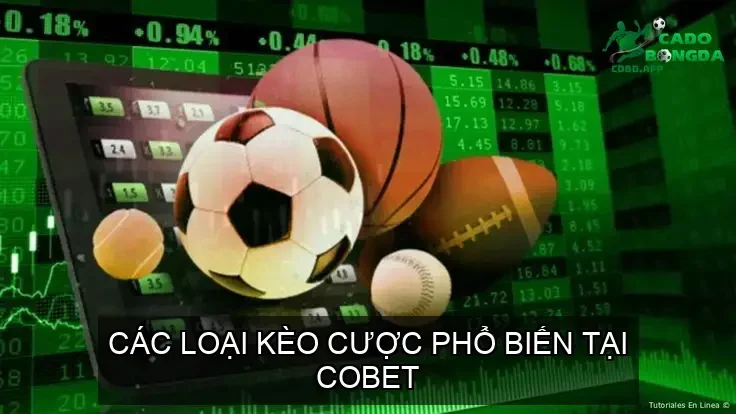 Các Loại Kèo Cược Phổ Biến Tại COBET
