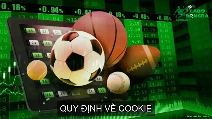 Quy Định Về Cookie