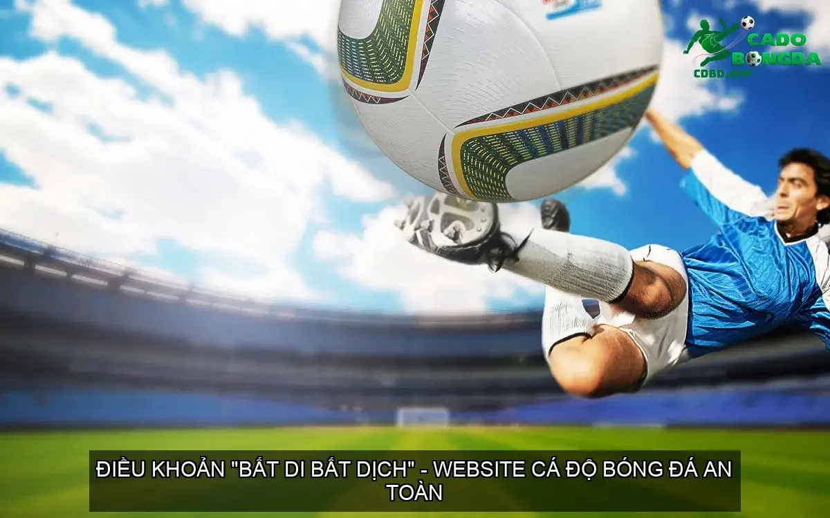 dieu khoan dieu kien 68d37ca5539b9