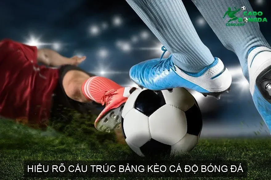 Hiểu Rõ Cấu Trúc Bảng Kèo Cá Độ Bóng Đá