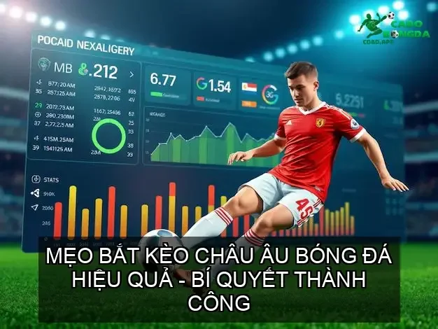 Mẹo Bắt Kèo Châu Âu Bóng Đá Hiệu Quả - Bí Quyết Thành Công