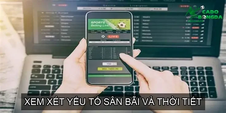 Xem Xét Yếu Tố Sân Bãi và Thời Tiết