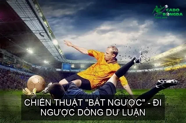 Chiến Thuật "Bắt Ngược" - Đi Ngược Dòng Dư Luận