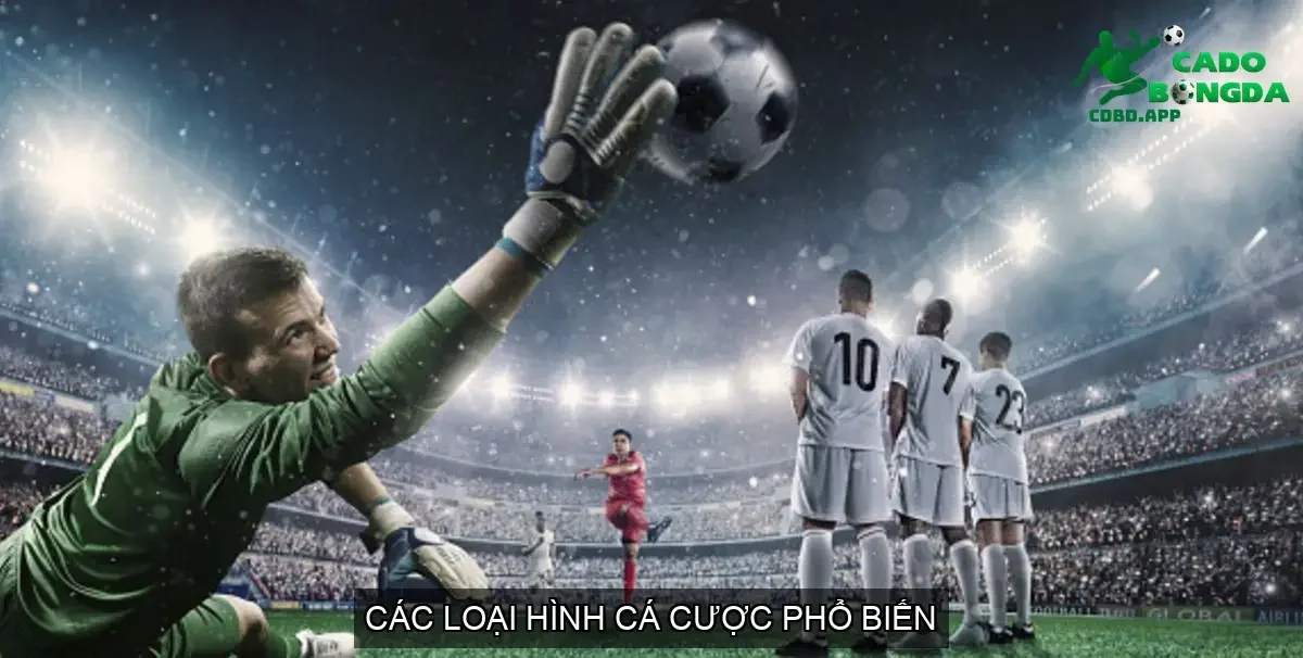 Các loại hình cá cược phổ biến
