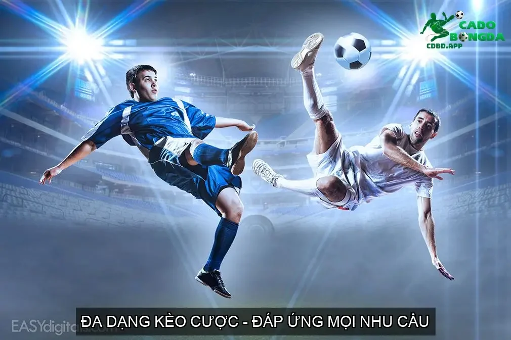 Đa Dạng Kèo Cược - Đáp Ứng Mọi Nhu Cầu