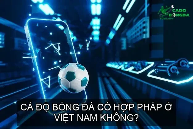Cá độ bóng đá có hợp pháp ở Việt Nam không?